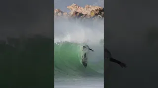 This wave is so fun 🖤 | Footage by Ben Barnard #surf #surfing #shorts #capetown #travel #fun