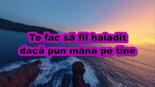 Haladit - Petre Stefan feat. Ian (versuri/lyrics)