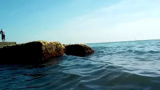 2019 05 21 Сочи,  у моря, в море, дельфины,под водой