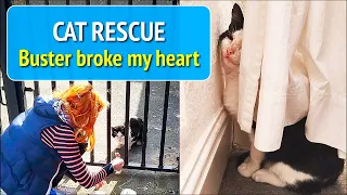 Cat Rescue - The cat that broke my heart.