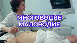 Многоводие и Маловодие при Беременности  Причины и Последствия