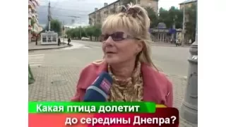 Какая птица долетит до середины Днепра?