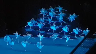 Fantastic! 32 ballerinas on stage - it doesn't happen anymore! Bolshoi Theater - La Bayadère Shadows