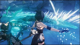 WHAT ABOUT CO-OP GAMEPLAY EXPERIENCE?【WUTHERING WAVES CBT2】