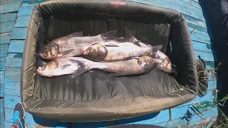 Рыбалка лиман Ошитки