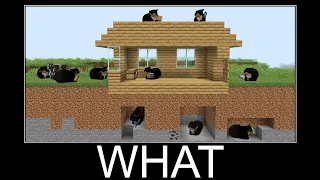 100 MAXWELL CATS in Minecraft wait what meme part 139