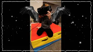 LEARNING TO FLY!! Adley has an Animal Makeover and turns into an Eagle for new VR game! #shorts