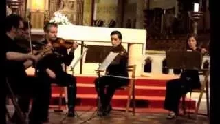 Classical Concert in Matthias Church Duna String Orchestra  Budapest Hungary 2015