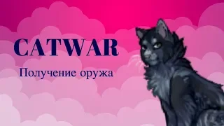 CᴀтWᴀʀ|Получаю оружа