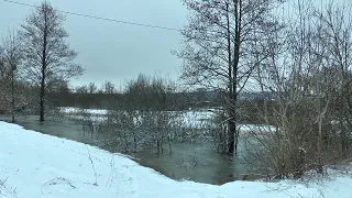 Уровень воды в реке Припять продолжает падать