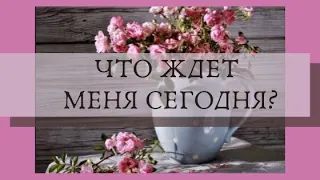 Что ждёт меня сегодня? Карта ДНЯ / Таро гадание онлайн /