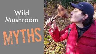 Wild Mushroom Myths!