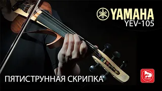 YAMAHA YEV105 - пятиструнная электроскрипка. Обзор с Людмилой Маховой (группа Дайте Два )