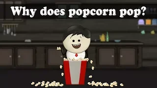 Why does popcorn pop? | #aumsum #kids #science #education #children