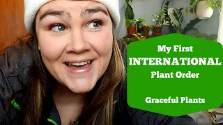 Unboxing Rare House Plants from Greenspaces.ID | Cheap Rare House Plants | Graceful Plants