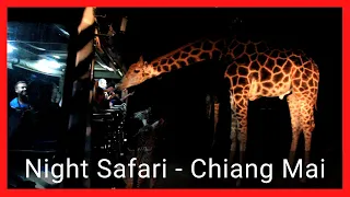 NIGHT SAFARI - CHIANG MAI 🦒 | At night it is always more exciting 🌒