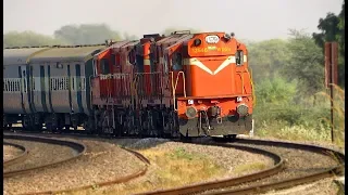 Train Spotting in Jaipur - Diesel Territory in Resurgent Rajasthan
