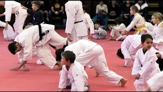 Mezinárodní seminář aikido pro děti a mládež 2018