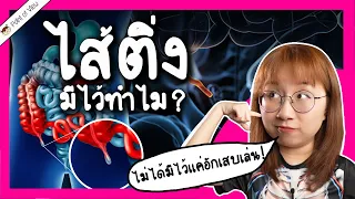 ไส้ติ่ง มีไว้ทำไม? | Point of View