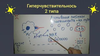 гиперчувствительность 2 типа