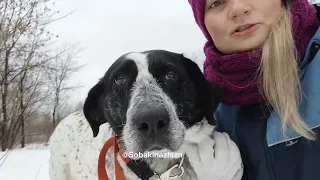 Нэнси. Порода, не гарантия не оказаться брошенной