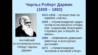 Теория Дарвина о происхождении видов и человека ошибочна