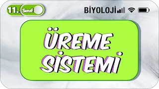 11. Sınıf Biyoloji Üreme Sistemi |TEK VİDEODA KONU ANLATIMI ✍️