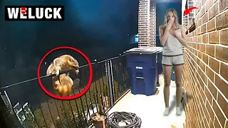 25 LUCKIEST PEOPLE CAUGHT ON CAMERA! LUCKY SURPRISE