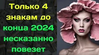 Только 4 знакам до конца 2024 несказанно повезет