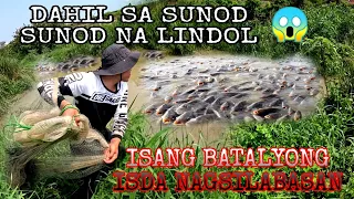 Nagsilabasan Ang Isang Batalyon Na isda Dahil Sa Sunod Sunod Na Lindol Sa Bansang Taiwan