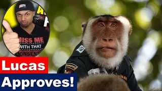 The Amazing Lucas want to ABOLISH POLICE  and hire MONKEYS? @TheAmazingLucas