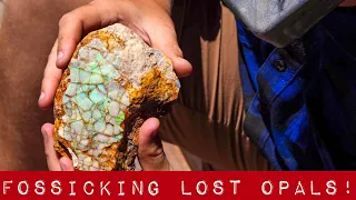 Fossicking Lost Opals!