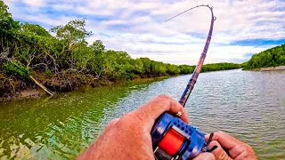 LOW TIDE TROPICAL ESTUARY EXPLORING…