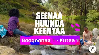 Seenaa Huunda kenyaa | Booqoonaa 1, Kutaa 1