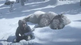 Red Dead Redemption 2 legendary White Bison pelt