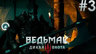 Ведьмак 3: Дикая Охота. Игрофильм. Серия 3-я. Эльфийские Руины.