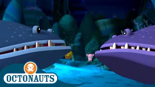 Octonauts - The Gulper Eels | Cartoons for Kids | Underwater Sea Education