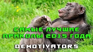 Самые лучшие приколы - 2016 (Demotivators)