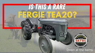 Ferguson TEA20 -HOW RARE IS THIS TRACTOR ?| Down at the barns #te20