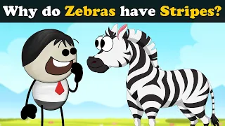 Why do Zebras have Stripes? + more videos | #aumsum #kids #science #education #children