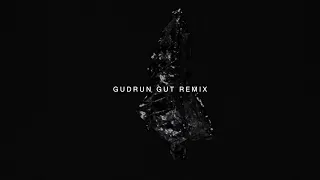 Hope - Shame (Gudrun Gut Remix)