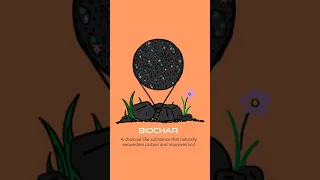 BIOCHAR (#short)