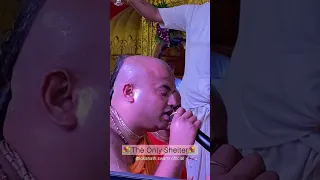 The Only Shelter || HH Lokanath Swami Maharaj || #shorts