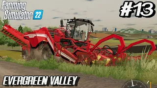 FS 22👩‍🌾🚨Corn , Potatoes and Soy related to the map were harvested🚨👩‍🌾(Evergreen Valley)EP-13 @slgka