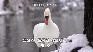 [가람중학교 음악감상] 생상스 동물의 사육제 중 백조