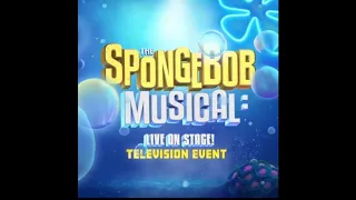 Not a Loser - The Spongebob Musical: LIVE on Stage!