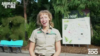 Virtual Tour of Melbourne Zoo