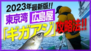 【アジ 釣り方】初心者向け、厳寒期の東京湾でギガアジが釣れるポイントはここだ！2023年決定版