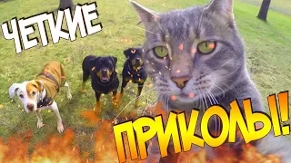 ПРИКОЛЫ 2018 !ПОДБОРКА ПРИКОЛОВ ОТ ХЛЕБУШКА! #2