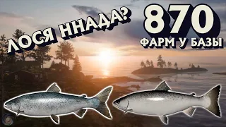 870 - ФАРМ у базы | Лосось + Форель + Щука | Архипелаг | Русская Рыбалка 4